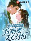 易孕体质!陆团长,你前妻又又又怀了!