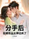 分手后,我被极品女神追疯了